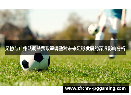 足协与广州队调节费政策调整对未来足球发展的深远影响分析 足协与广州队调节费政策调整对未来足球发展的深远影响分析